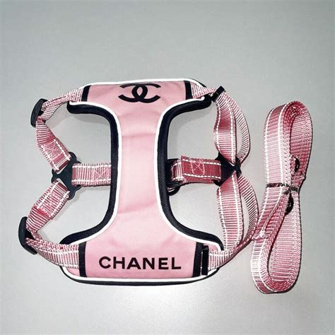 chanel dog bowl|chanel dog collar and leash.